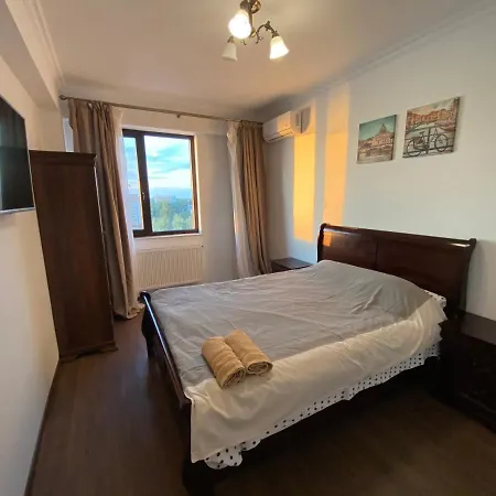Apartment Solid 387
