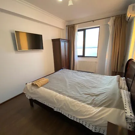 Solid 387 Mamaia