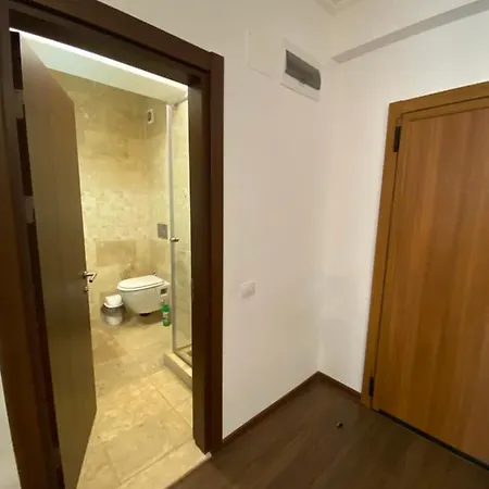 Solid 387 Mamaia